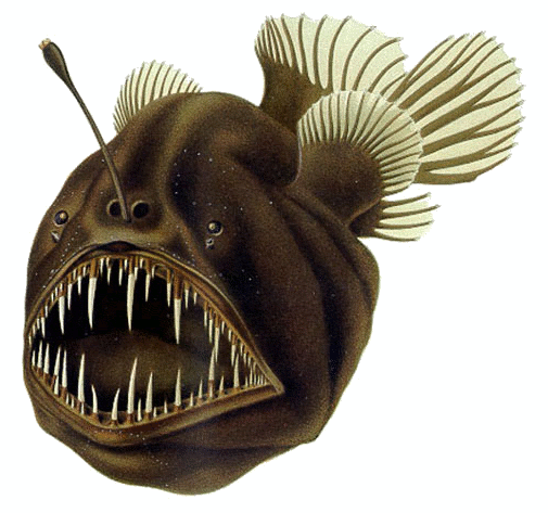 A deep-sea anglerfish with a glowing lure on a stalk above its head and a mouth full of long needle teeth, an animal that makes its own light where none arrives