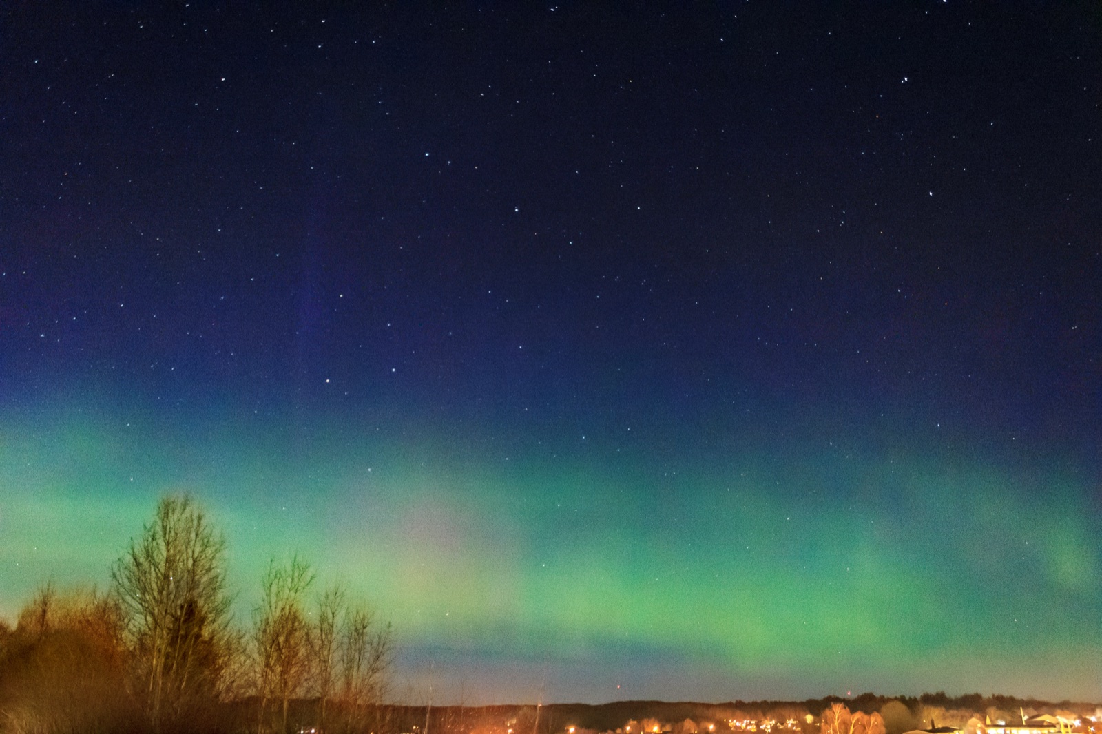 Green northern lights glowing across a starry sky above a dark tree line