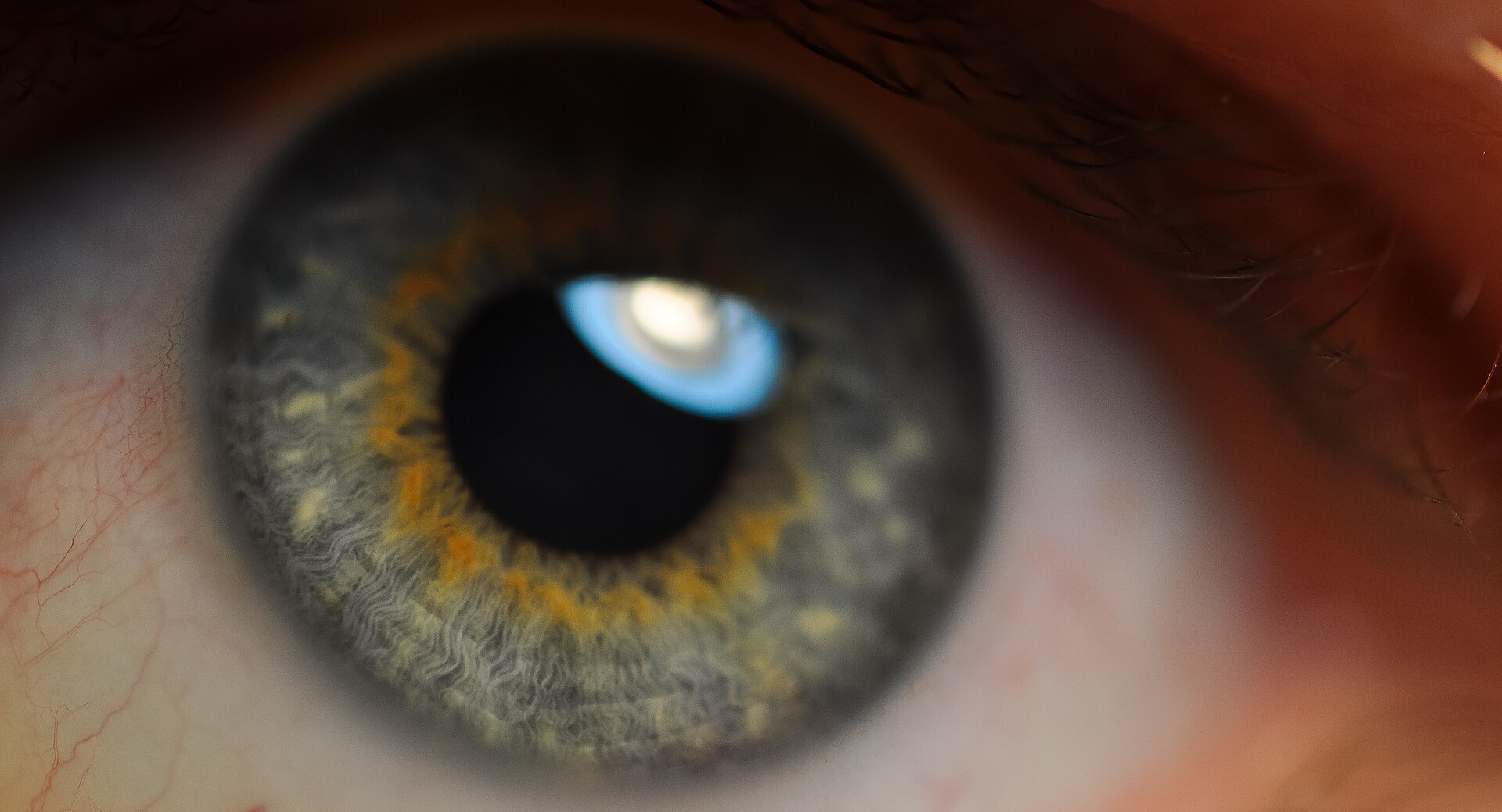 An extreme close-up of a human iris, grey-green with a ring of orange flecks around the pupil, showing that real eye colour is rarely simply brown or blue.