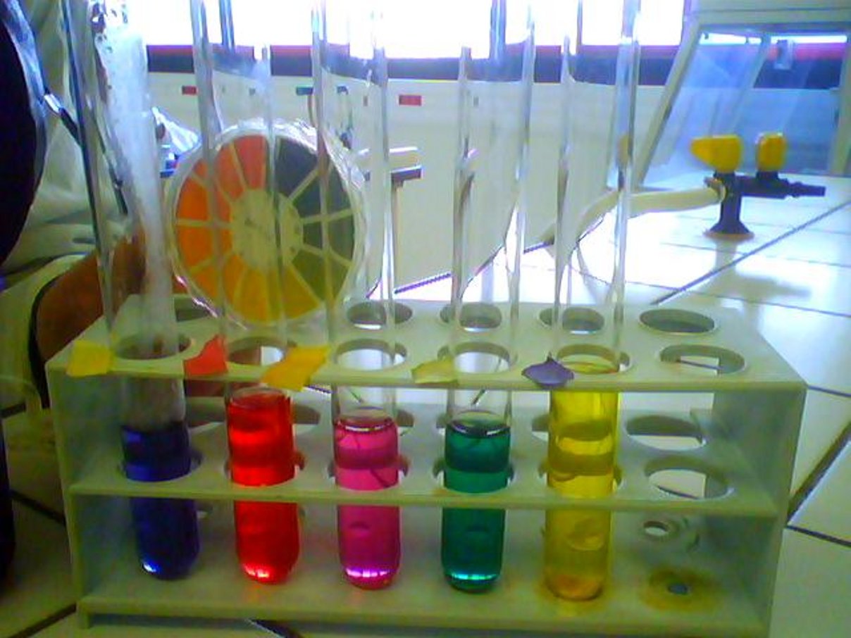 Red cabbage indicator showing a range of colours across the pH scale
