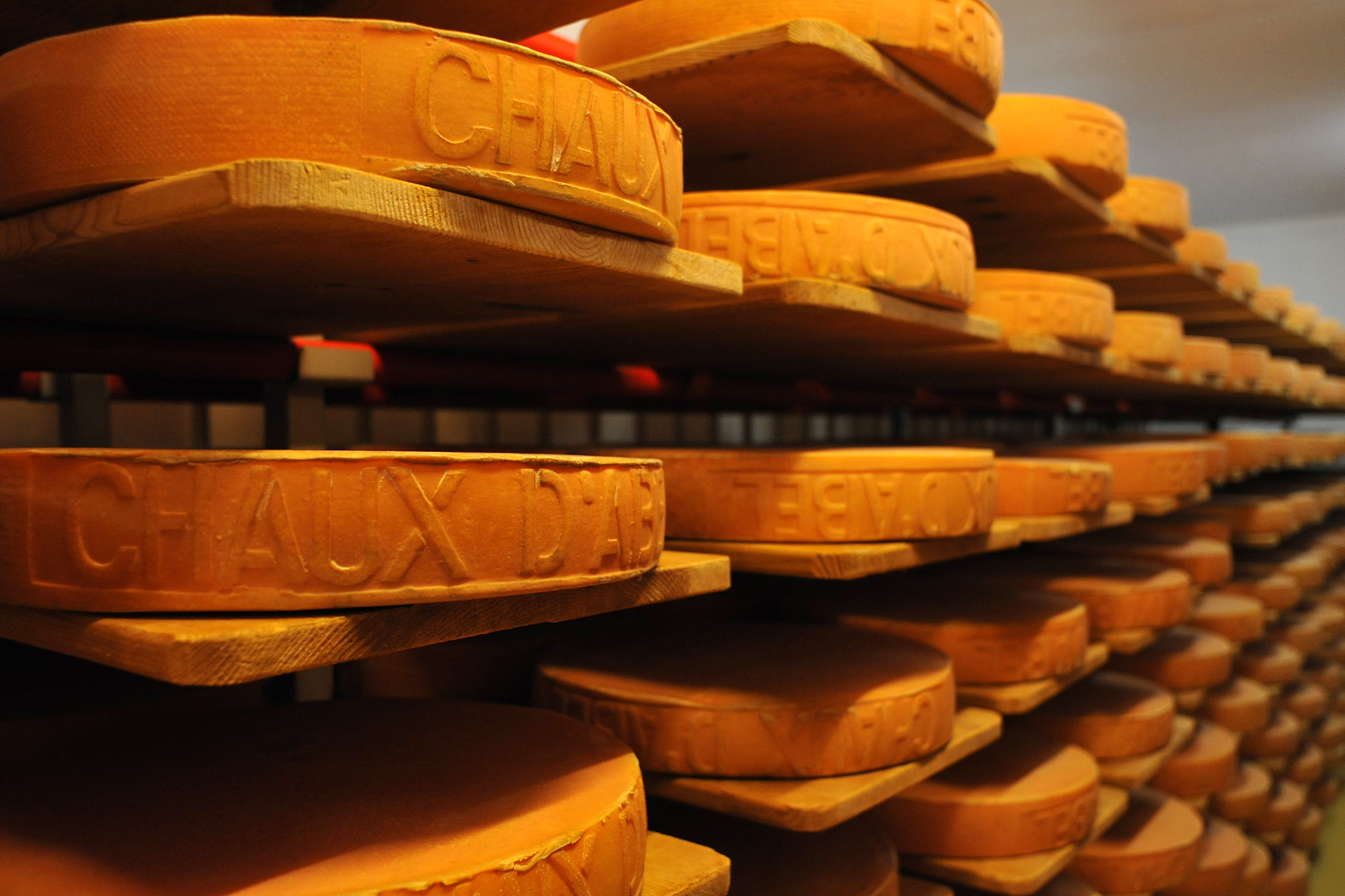 Rows and rows of golden cheese wheels resting on wooden shelves in a maturing cellar, each stamped with its name