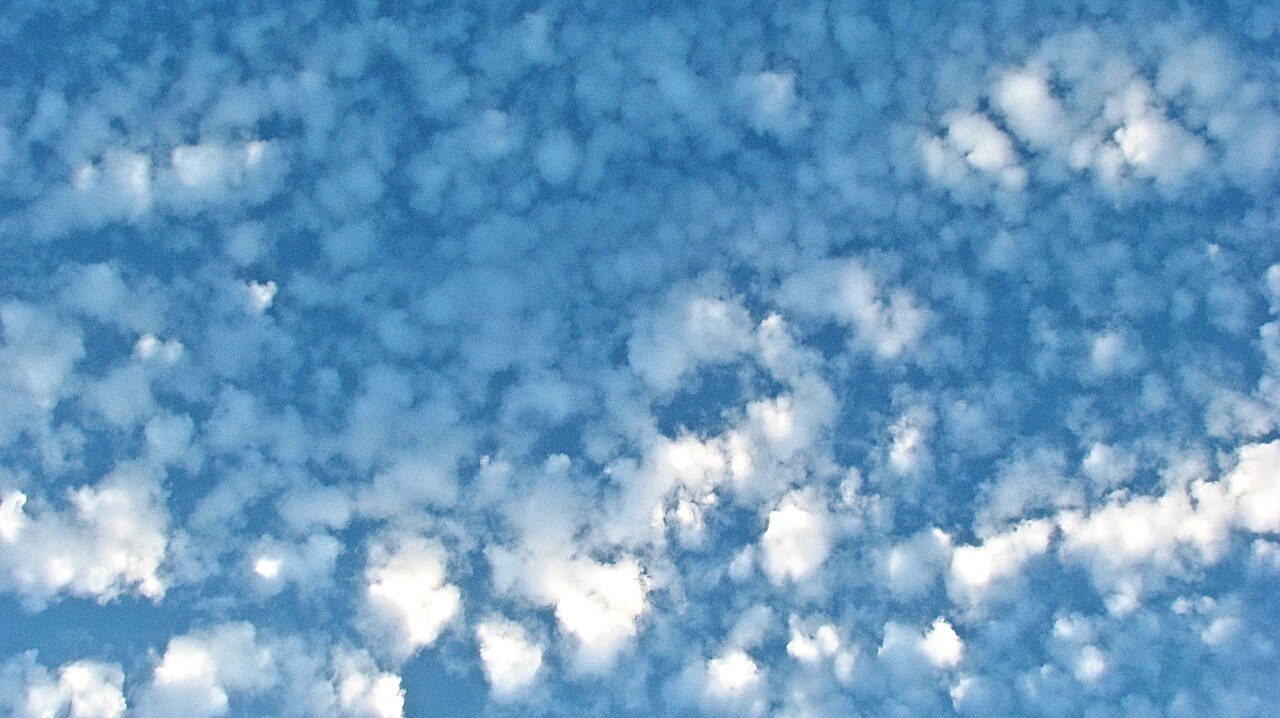 Small fluffy white cumulus clouds scattered across a blue sky.
