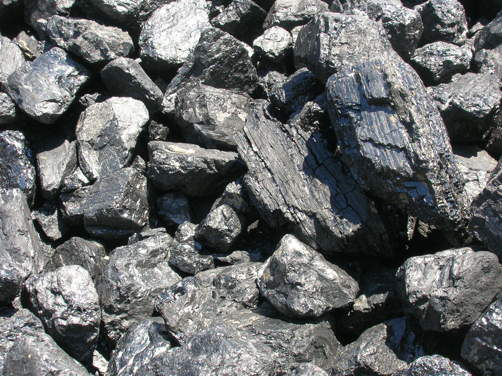 A heap of shiny black lumps of coal.