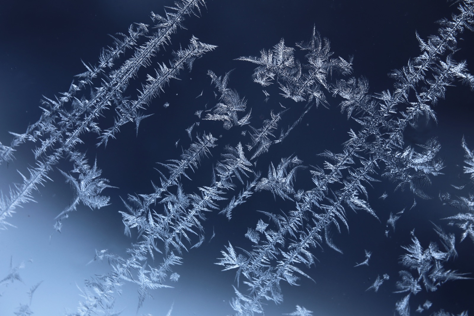 Feathery frost crystals spread across a cold window pane