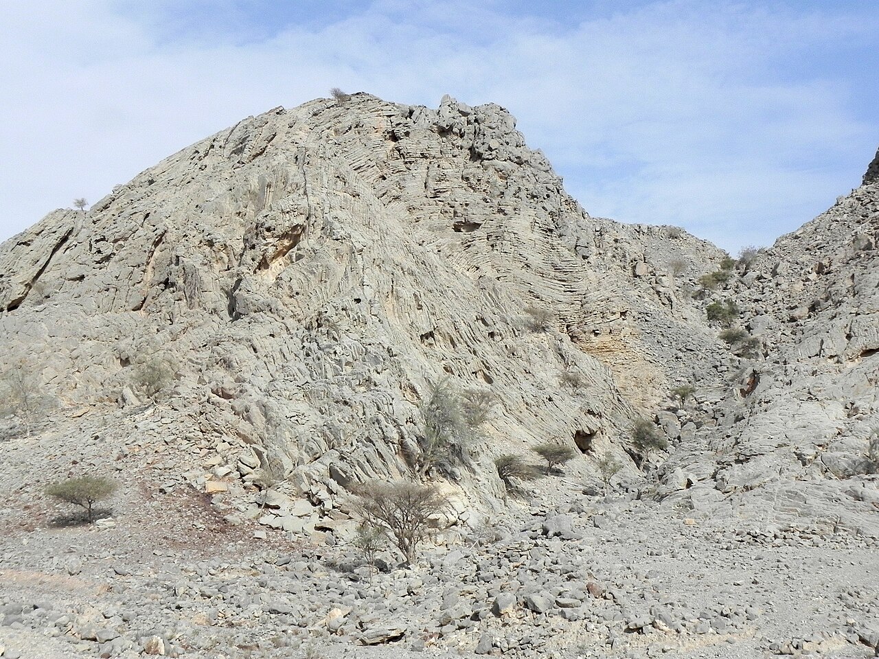 A hillside of pale rock whose layers have been bent and folded into sweeping curves by being squeezed