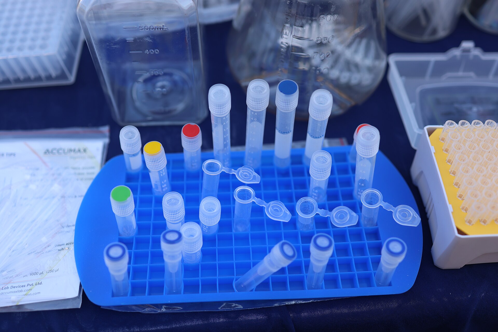 Small labelled sample tubes with coloured caps standing in a blue laboratory rack, with flasks and pipette tips behind.