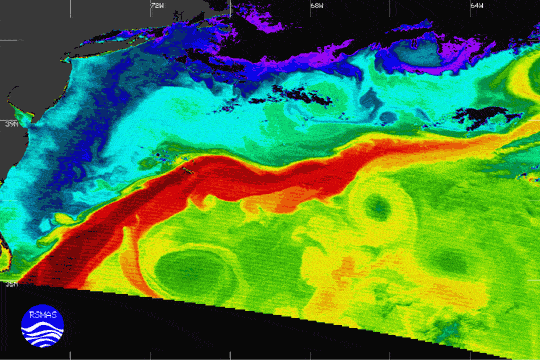 A satellite temperature map with the Gulf Stream showing as a vivid red ribbon of warm water curling north through cooler green and blue sea
