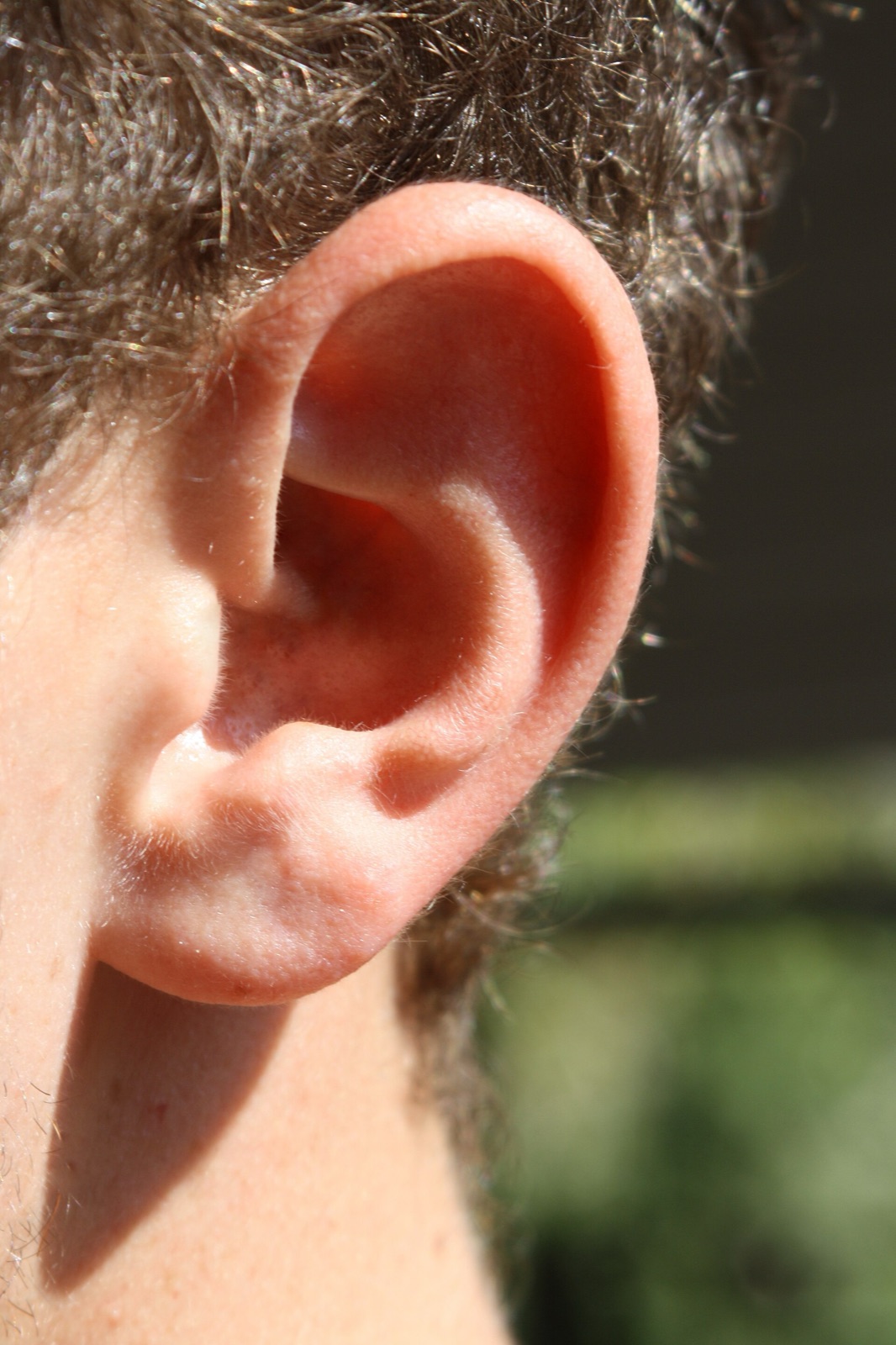 A close-up of a human ear, the outer ear that funnels sound into the ear canal.