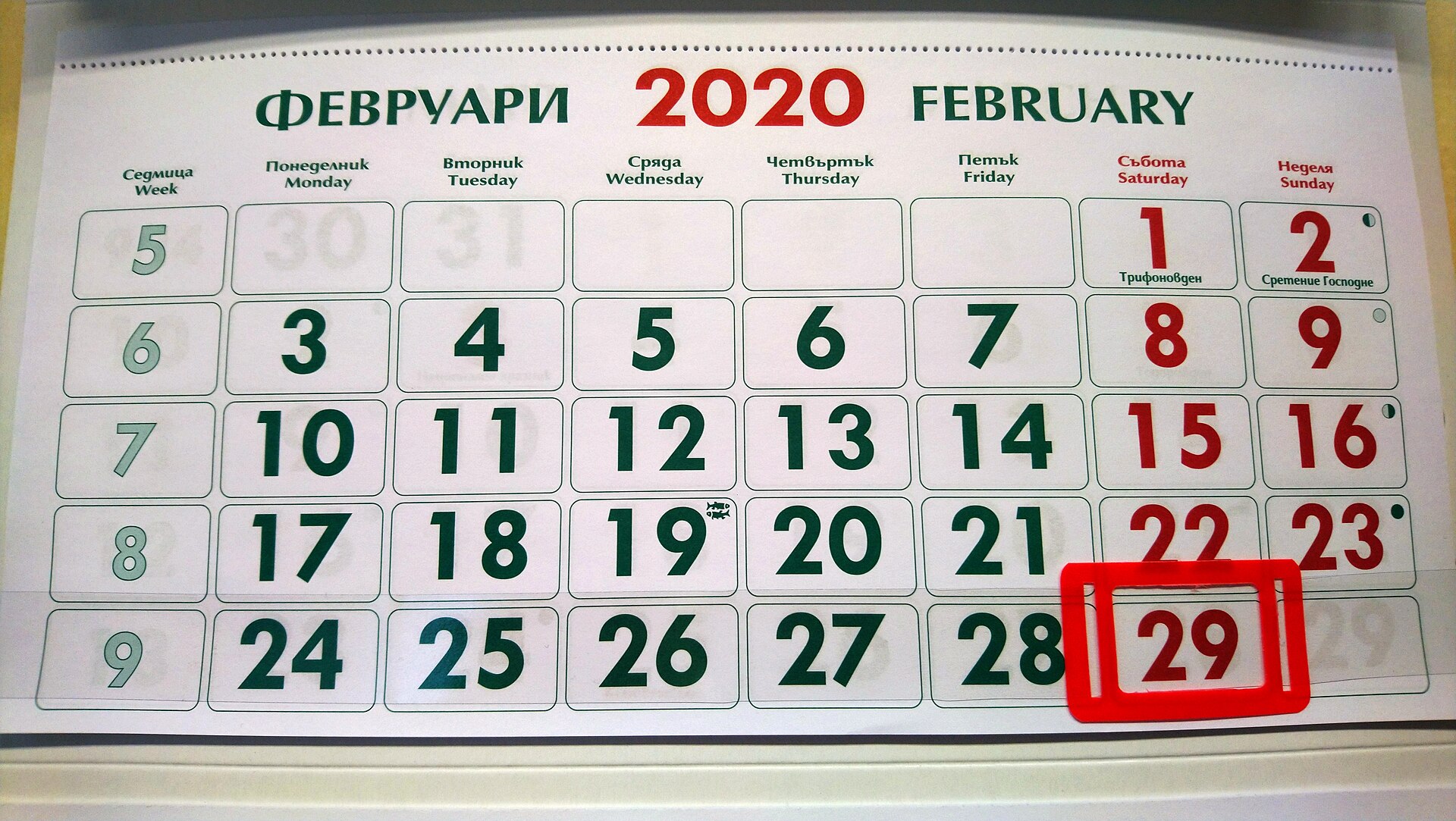 A wall calendar open at February 2020, with the 29th ringed in red pen at the bottom of the month.