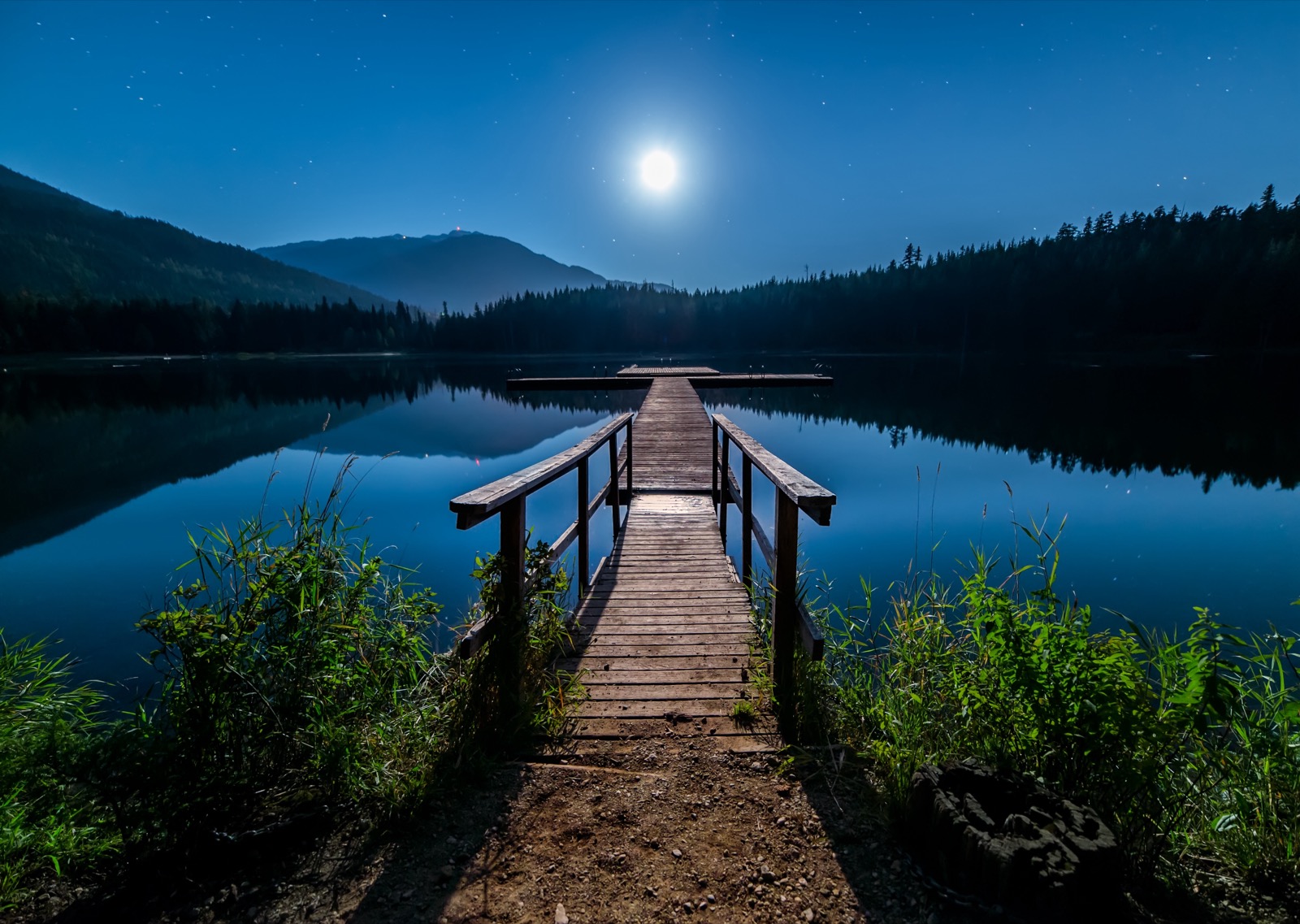 A moonlit lake at night, the whole scene drained to muted grey-blue, because in dim light your colour-sensing cones can't work.