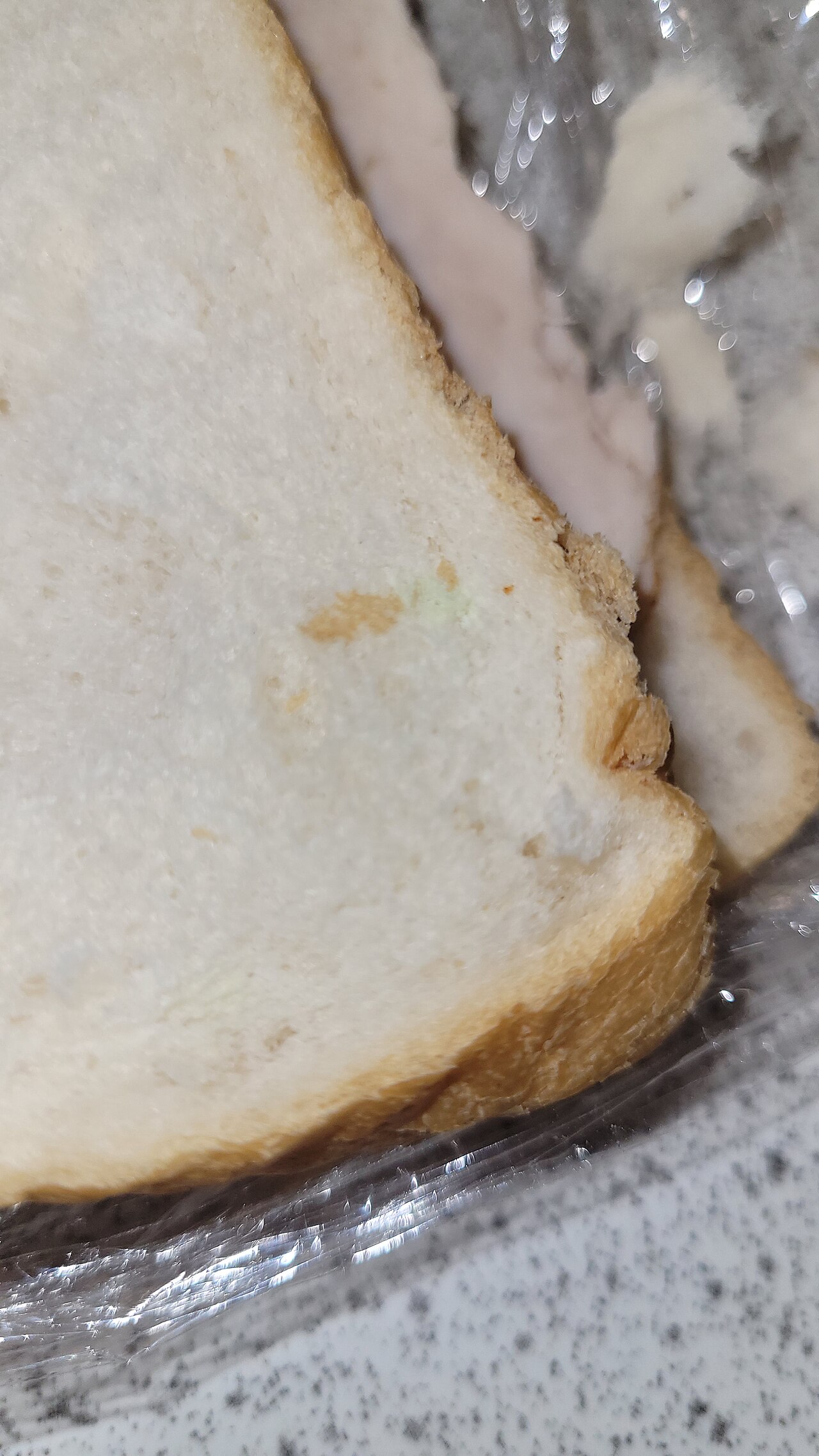 A slice of bread covered in fuzzy mould