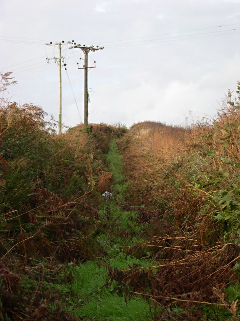 A footpath almost swallowed by bracken, still faintly there but very hard to follow, the way a memory can be present yet out of reach