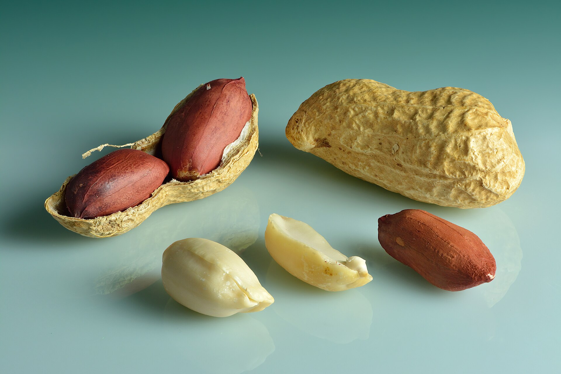 Peanuts on a plain background: one still in its shell, one cracked open, and loose kernels with and without their red skins