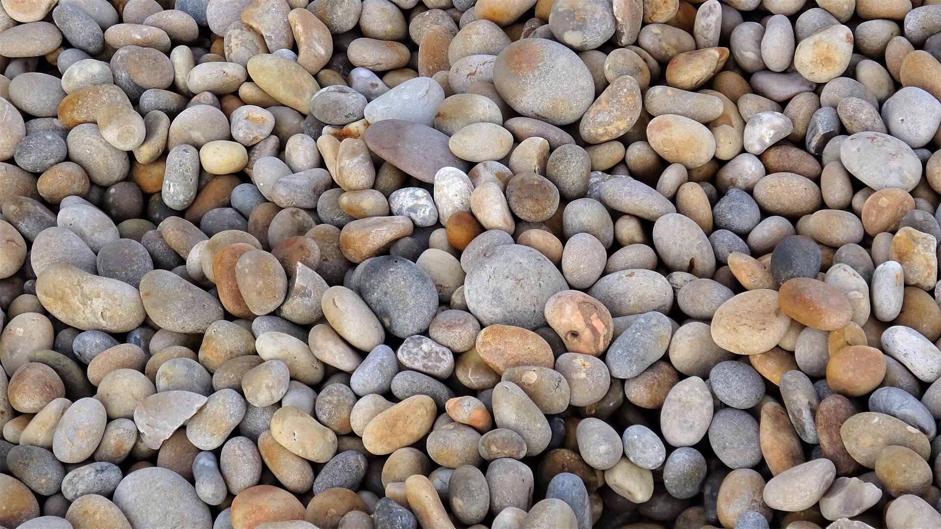 Thousands of smooth rounded pebbles filling the frame at Chesil Beach in Dorset, not a sharp corner among them