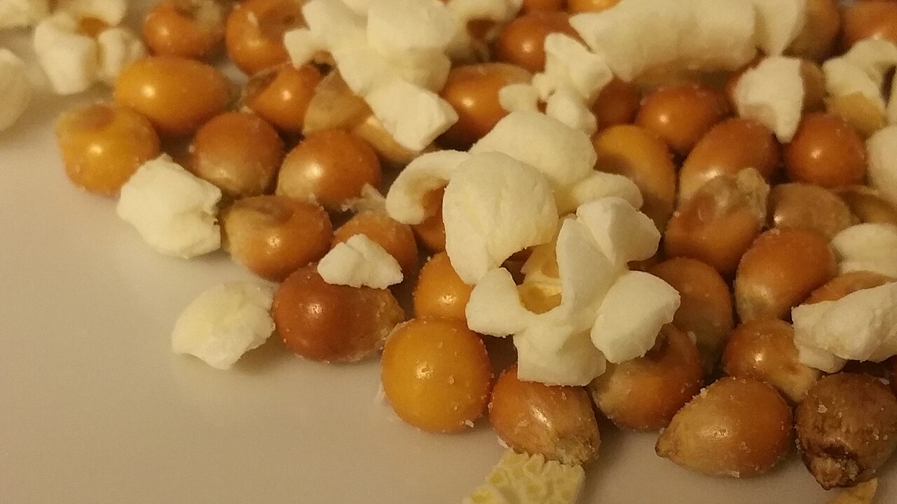 White fluffy popped popcorn mixed in among hard golden kernels that have not popped