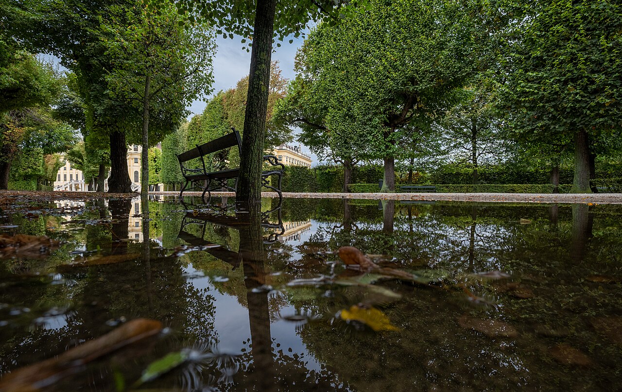 A rain puddle reflecting the sky, slowly evaporating