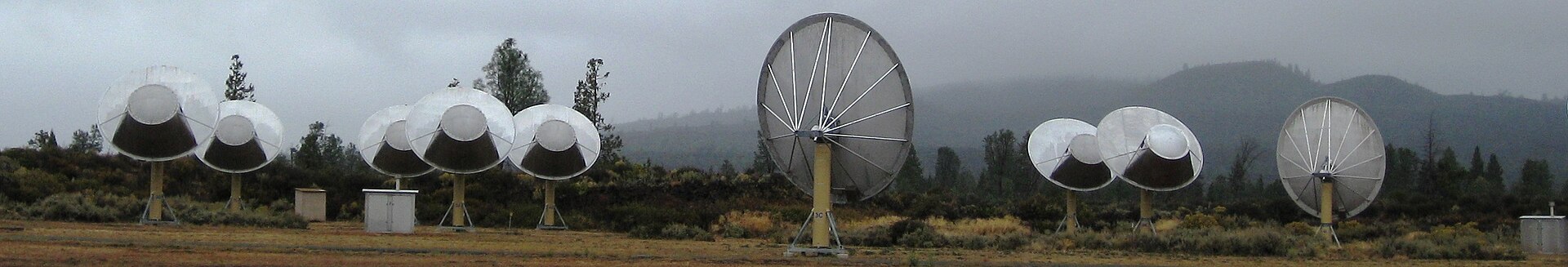 A row of radio dishes standing in scrubland under a grey sky, all tilted at the same patch of the heavens, listening