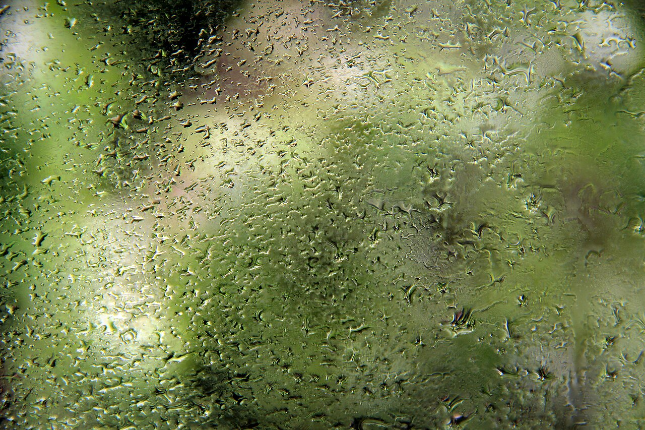 Rain falling, beading on a surface.