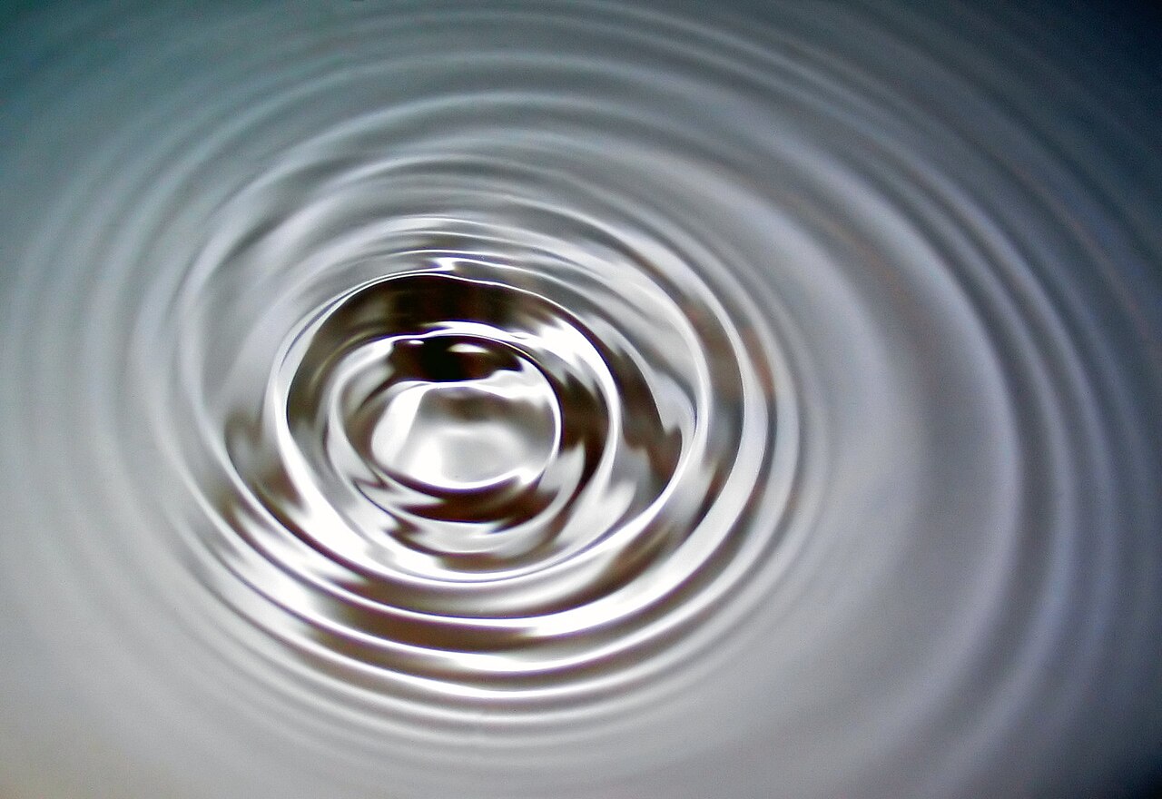 Neat concentric rings spreading outwards across the surface of still water from a single disturbance