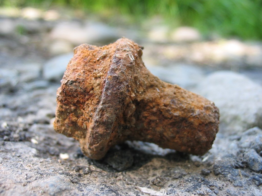 A rusted iron screw, iron reacts with air and water, while gold would stay shiny.