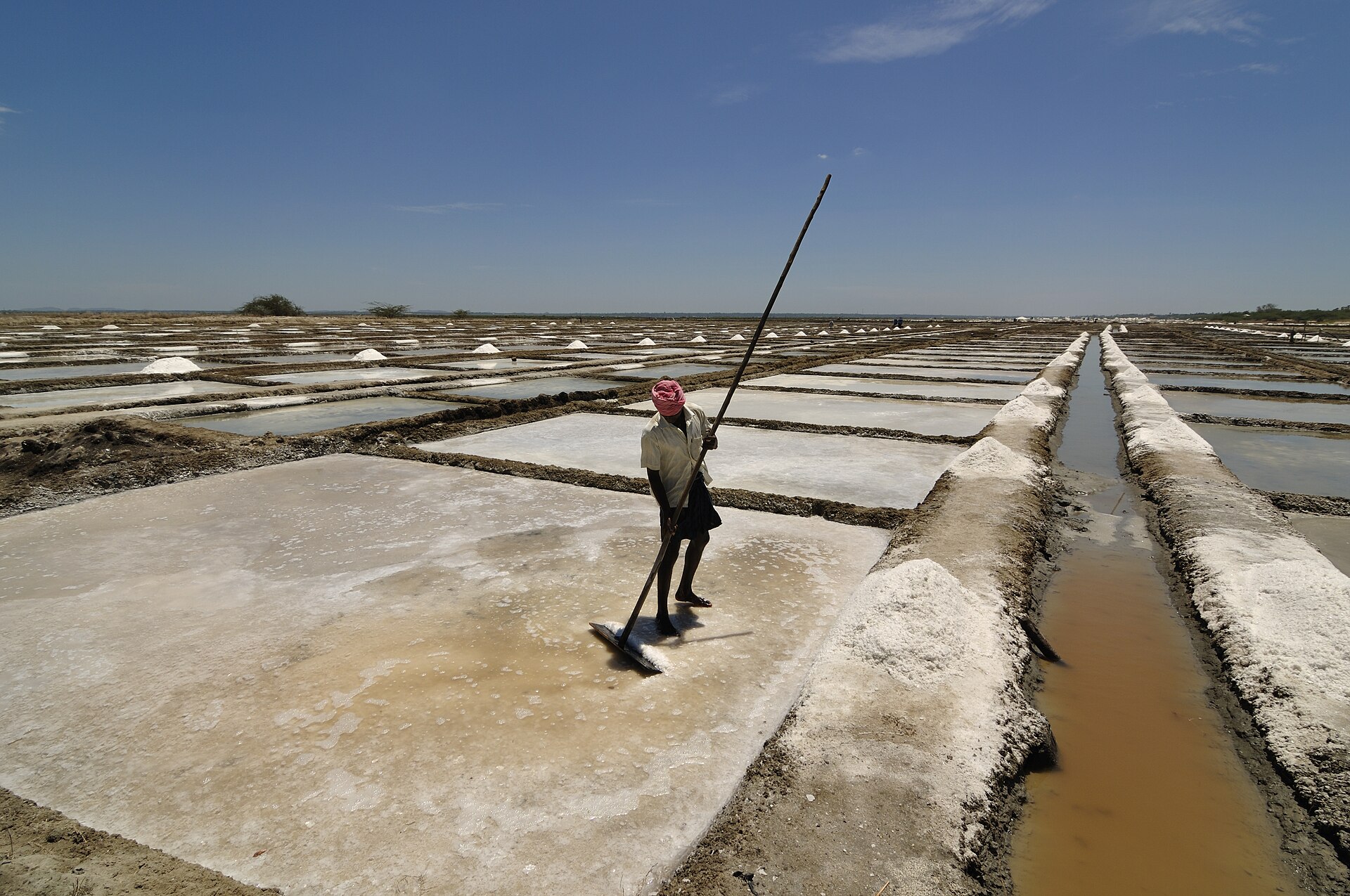 A worker raking white salt into heaps across shallow drying pans, the salt left behind after seawater has evaporated away