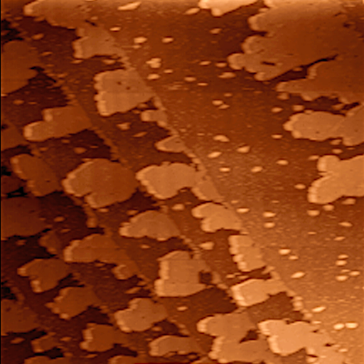 A copper-coloured image of individual atoms on a silver surface, taken by a microscope that works only because particles can slip through barriers they should not be able to cross