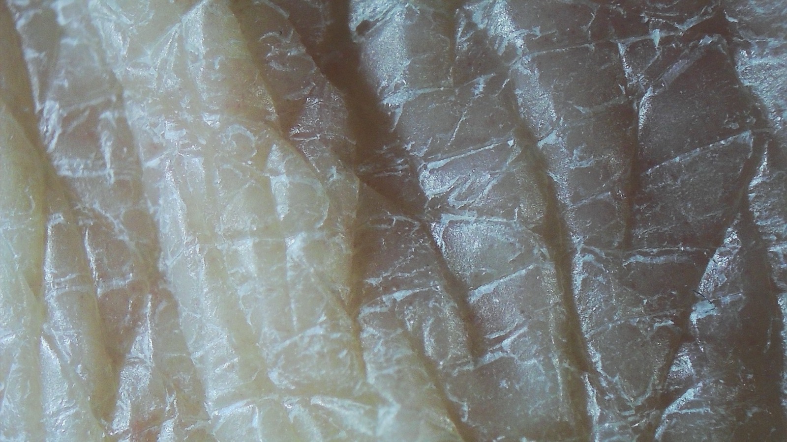 A close-up of human skin, showing its fine creases and ridges, the body's largest organ.