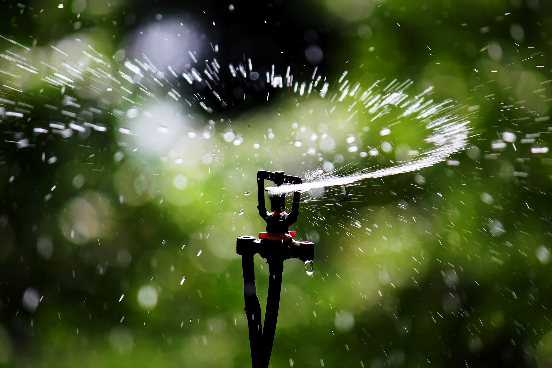 A garden sprinkler head throwing a jet of water sideways, the stream leaving as a smooth rope before breaking into a spray of droplets.