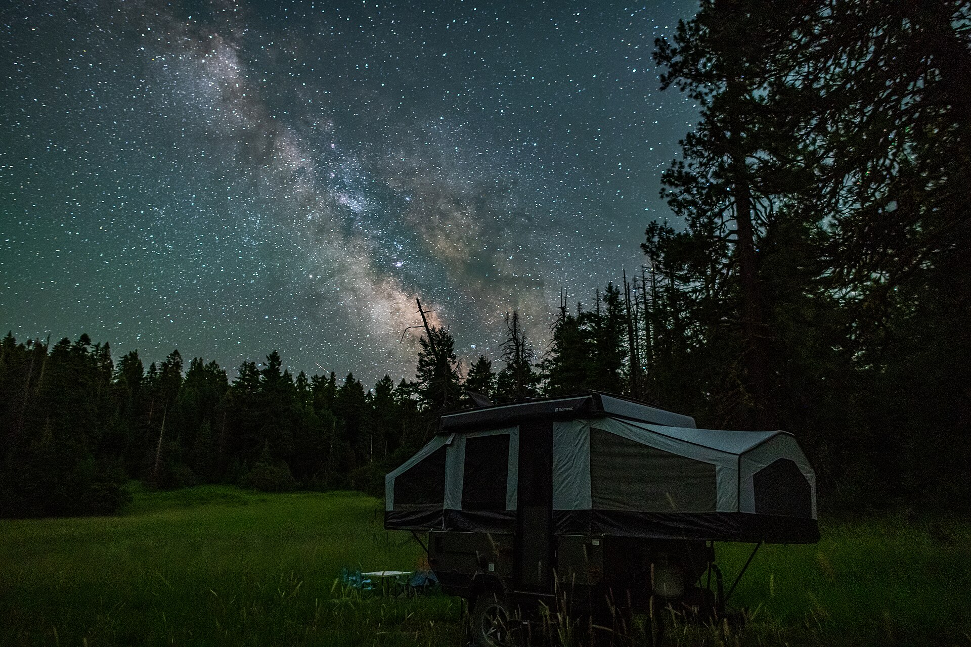 The Milky Way arching over a dark forest clearing, thousands of stars scattered across the sky with no clue as to which are near and which are far