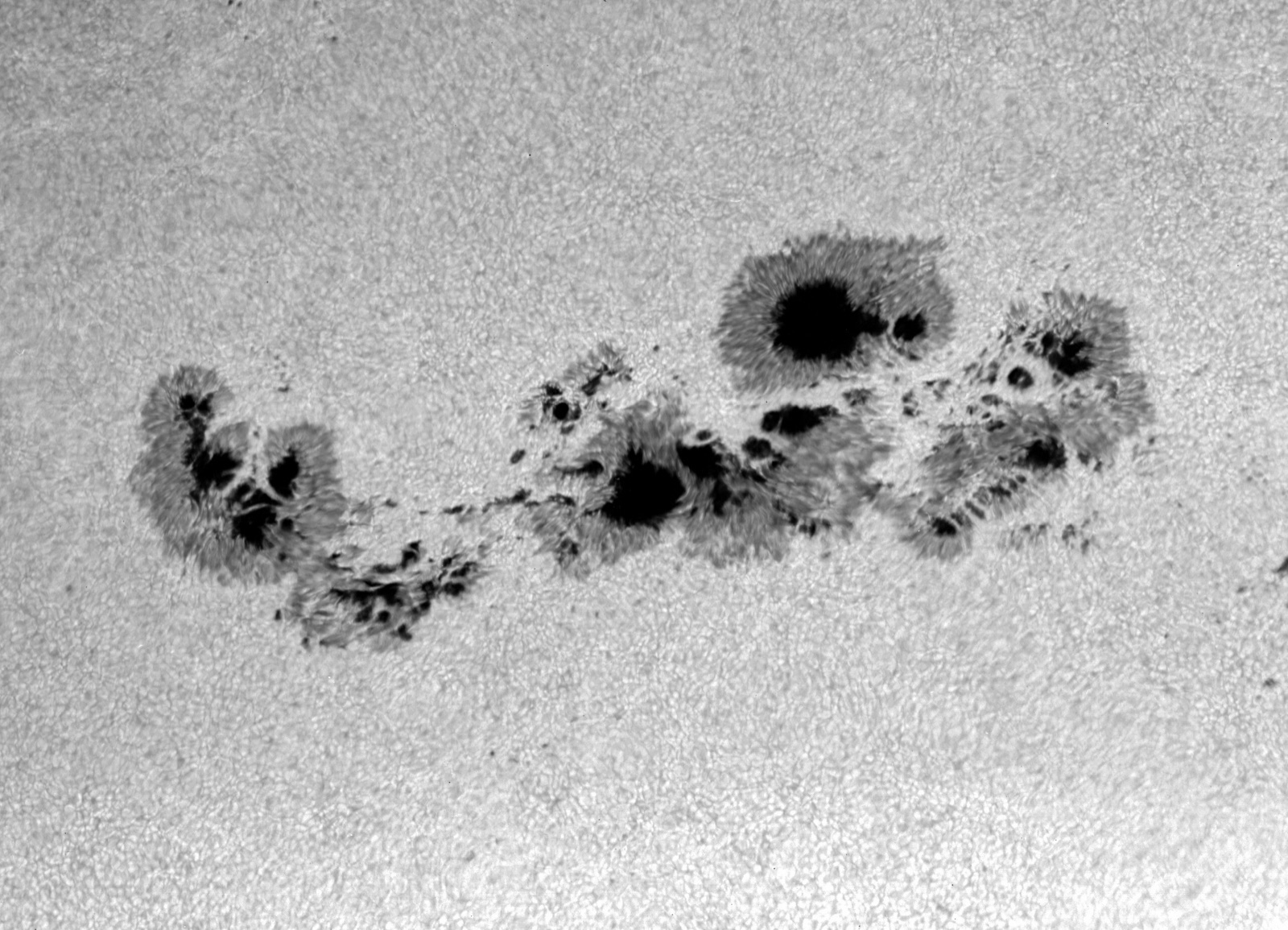 A large group of dark sunspots on the bright granulated surface of the Sun