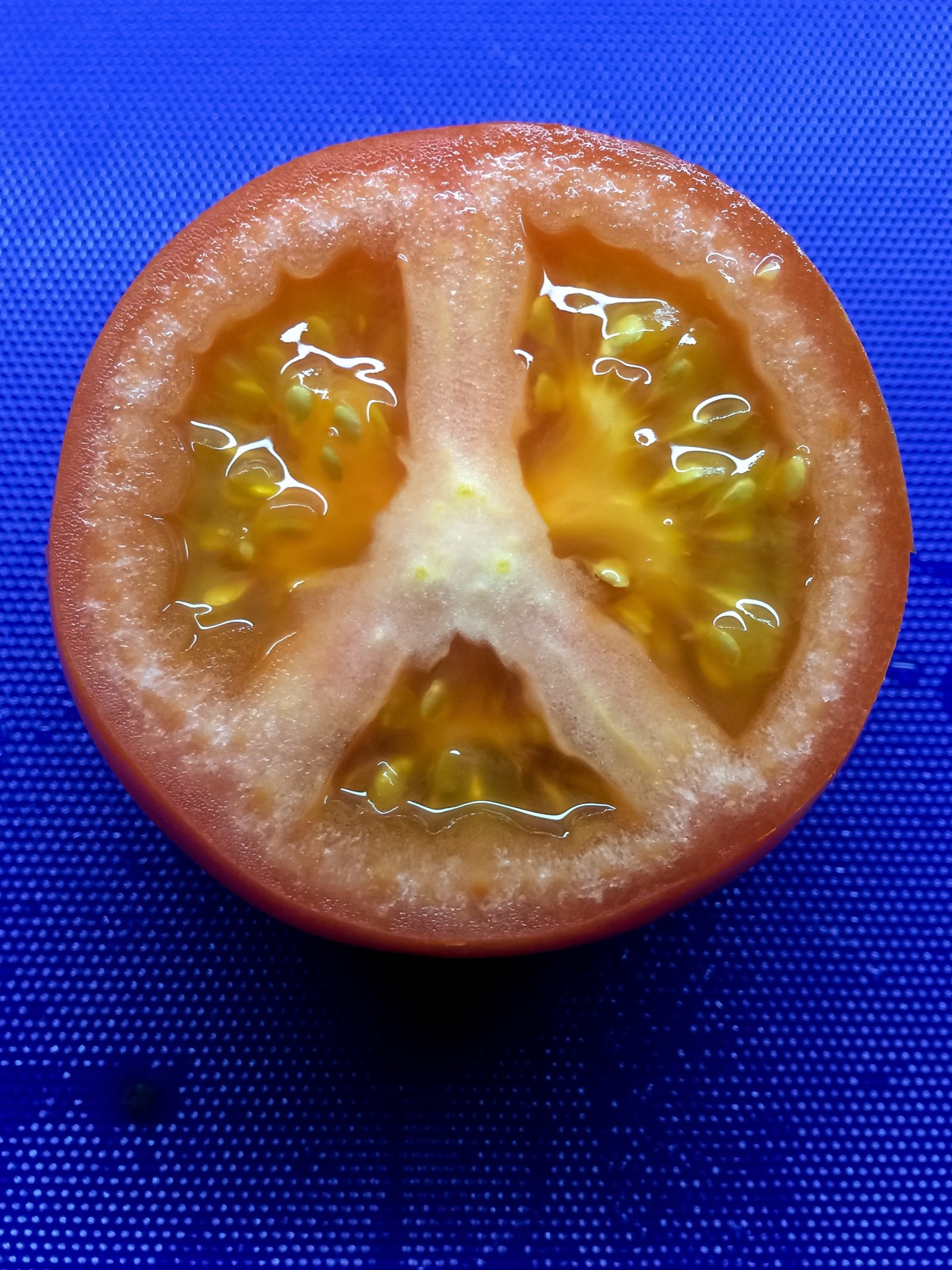 A tomato sliced in half, showing the seeds inside its juicy chambers, a true fruit grown from the flower's ovary.