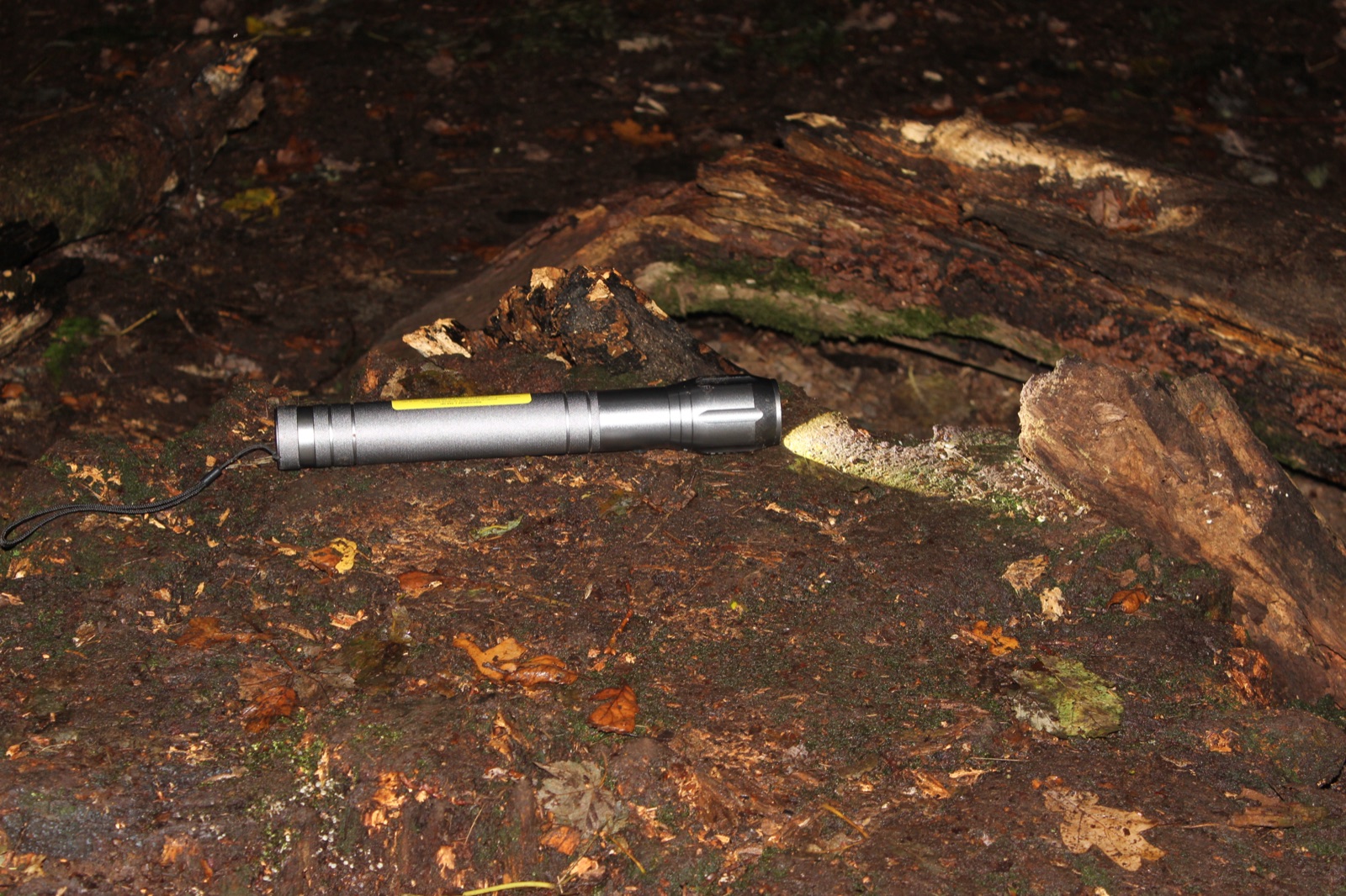 A torch shining a bright beam of light onto a log in the dark