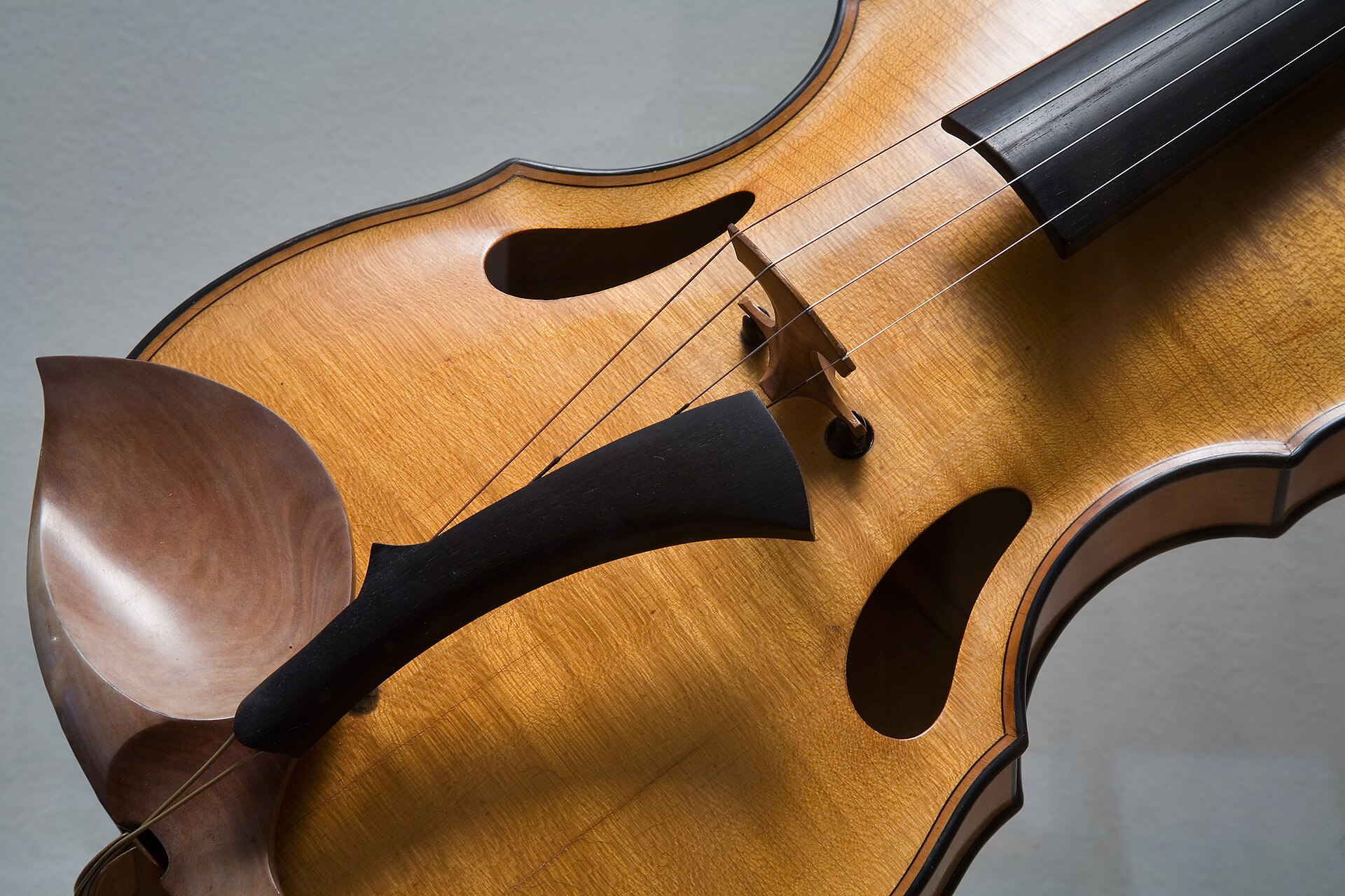 A close-up of a violin's body showing the strings crossing the bridge and the two curved f-holes cut into the wood