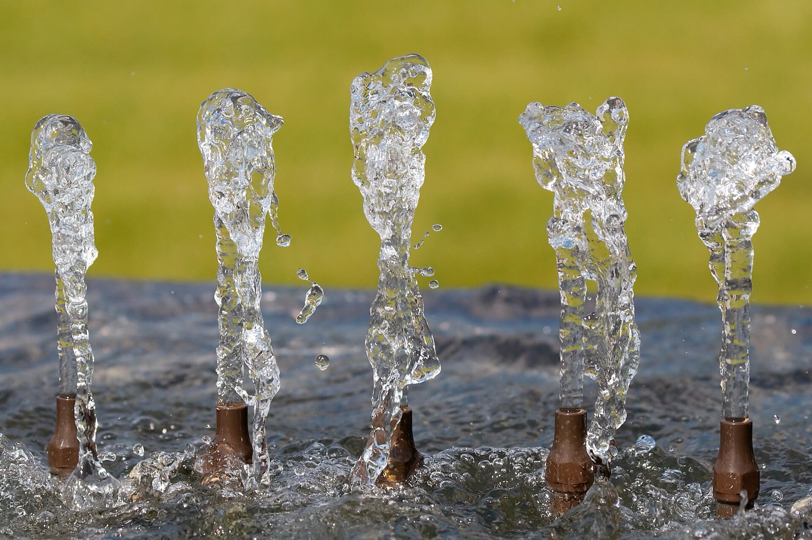 Several small water jets spurting up from fountain nozzles, forced out under pressure.
