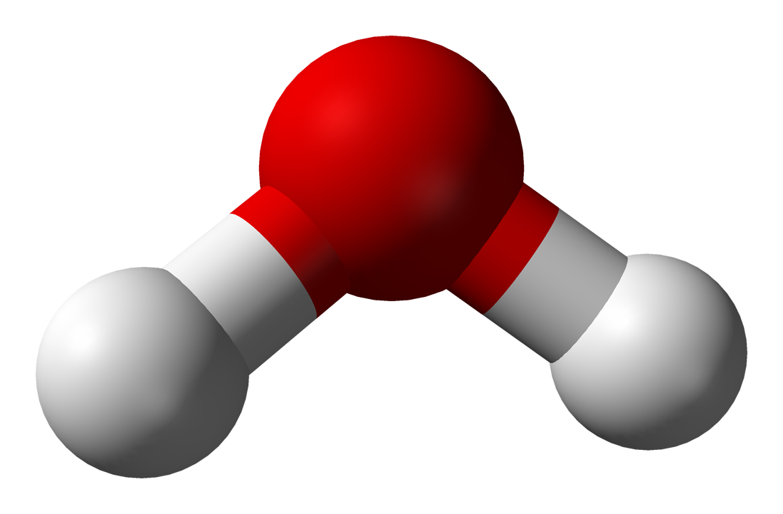 A model of a water molecule: two hydrogen atoms joined to one oxygen atom.