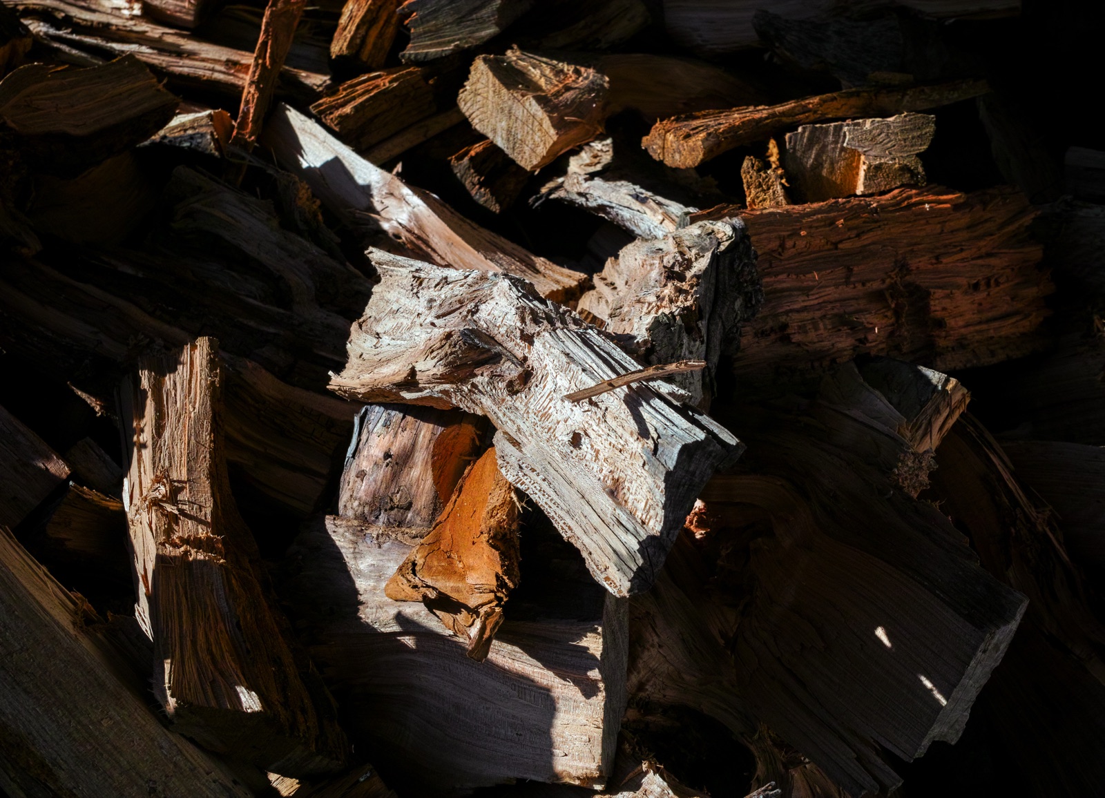 Split firewood logs showing long splintered grain running along their length